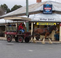 Bathurst Farm Experience - SA Accommodation