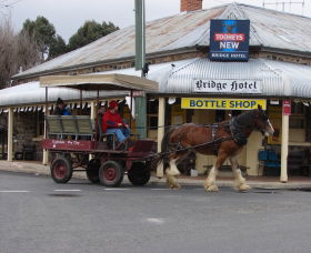 Bathurst Farm Experience - SA Accommodation 0