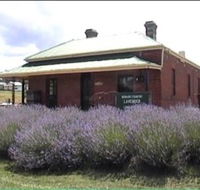 Lavender House in Railway Park - SA Accommodation