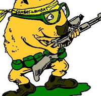 Skirmish Down Under - SA Accommodation