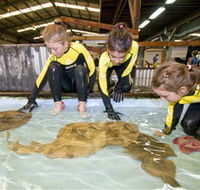 Australian Shark and Ray Centre - SA Accommodation