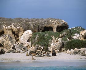 Jurien Bay WA SA Accommodation