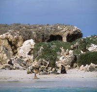 Jurien Bay Marine Park - SA Accommodation