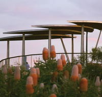 Reabold Hill Summit Boardwalk Bold Park - SA Accommodation