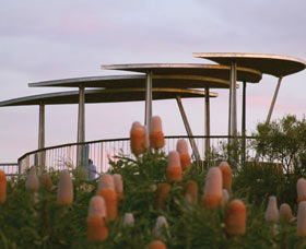 Reabold Hill Summit Boardwalk, Bold Park - SA Accommodation 0
