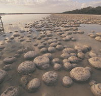 Lake Clifton Thrombolites - SA Accommodation