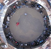Two-Up School - SA Accommodation