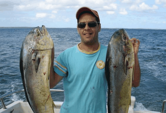 Jervis Bay Fishing and Charters - SA Accommodation