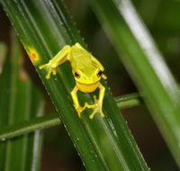 Daintree River Cruise Centre - SA Accommodation