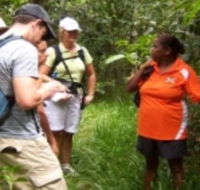 Ingan Tours - Spirit of the Rainforest Tour - SA Accommodation