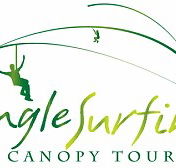 Jungle Surfing Canopy Tours and Jungle Adventures Nightwalks - SA Accommodation