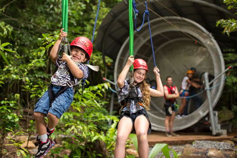 Jungle Surfing Canopy Tours And Jungle Adventures Nightwalks - SA Accommodation 2