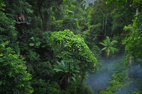 Jungle Surfing Canopy Tours And Jungle Adventures Nightwalks - SA Accommodation 3
