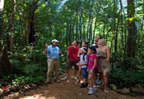 Ngadiku Dreamtime Walks - Mossman Gorge Centre - SA Accommodation 1