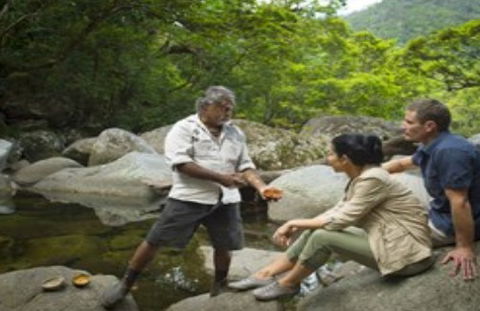 Ngadiku Dreamtime Walks - Mossman Gorge Centre - SA Accommodation 3