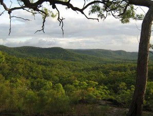 Cooktown Aboriginal Art Tours - SA Accommodation 1