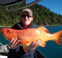 Gone Fishing by Coral Sea Fishing Charters Airlie Beach - SA Accommodation