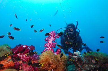 Adrenalin Snorkel And Dive - SA Accommodation 3