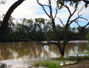 Allan Tannock Weir - SA Accommodation 2