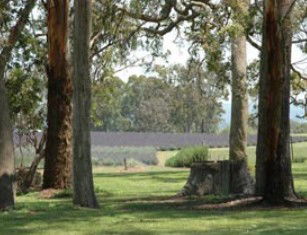 Stanthorpe QLD SA Accommodation