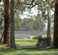 Aloomba Lavender - SA Accommodation