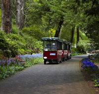 Araluen Botanic Park - SA Accommodation