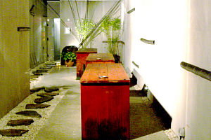 Koi - SA Accommodation 0