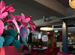 The Buckland Hotel - SA Accommodation 1