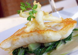 Australia Hotel - SA Accommodation 2