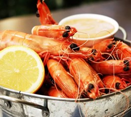 Sandgate QLD SA Accommodation