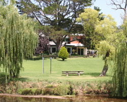 Bendemeer Hotel - SA Accommodation 3