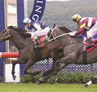Gosford Race Club - SA Accommodation