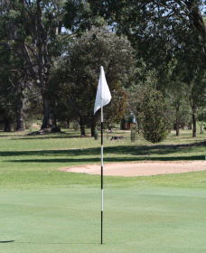 Inverell Golf Club - SA Accommodation 1