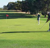 Waikerie Golf Club - SA Accommodation