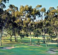 Tanunda Pines Golf Club - SA Accommodation