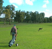 Coffin Bay Golf Club - SA Accommodation