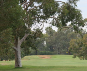 Tocumwal Golf Club - SA Accommodation 2