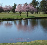 RMC Golf Club - SA Accommodation