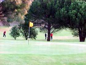 Meningie Lake Albert Golf Club - SA Accommodation 0