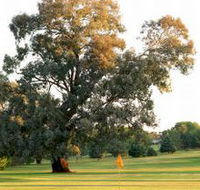 Cowra Golf Club - SA Accommodation