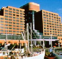 The Atrium Bar - SA Accommodation