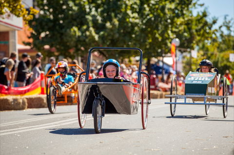 Australian Billy Cart Championships - SA Accommodation 2