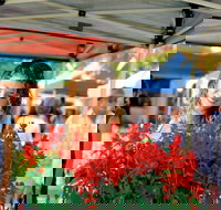 Ballina Missingham Farmers Market - SA Accommodation