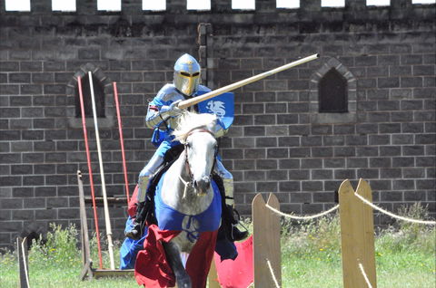 Baroque Horse Festival - SA Accommodation 1