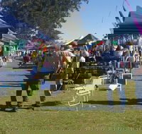 Casino Golf Club Markets - SA Accommodation