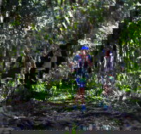 Elephant Trail Race - SA Accommodation