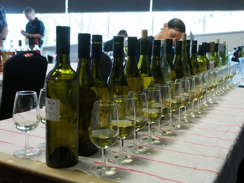 Eltham And District Wine Guild Annual Wine Show - 51st Annual Show - SA Accommodation 1