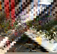 Grampians Wildflower Show - SA Accommodation