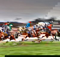 Grafton July Racing Carnival - SA Accommodation