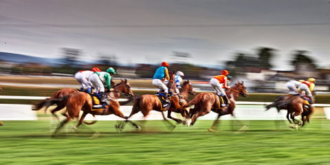 Grafton July Racing Carnival - SA Accommodation 0